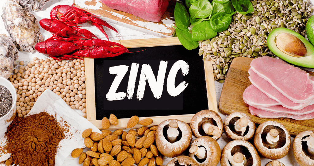 Sign that reads zinc surrounded by zinc food sources such as oysters, lobster, mushrooms, and almonds