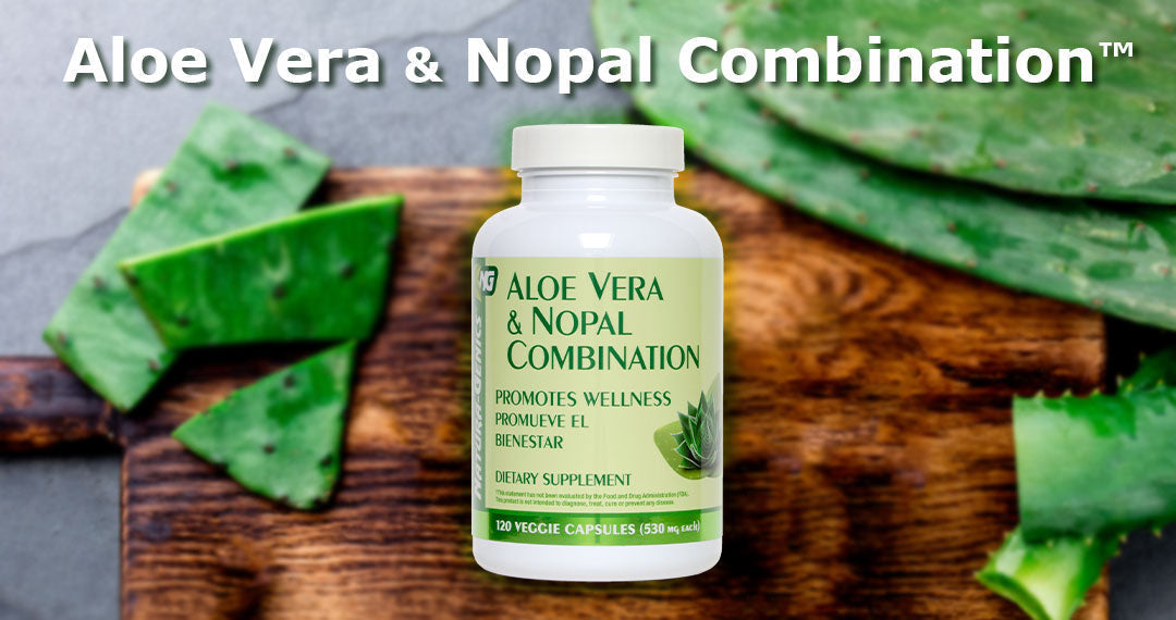 Aloe Vera & Nopal: The Plant-Based Powerhouses You Need to Know About