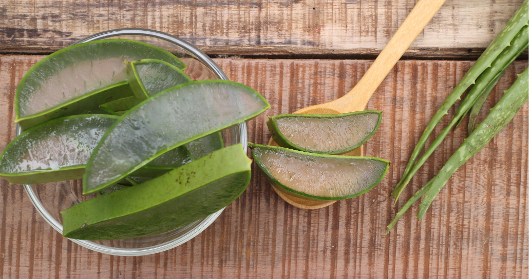 Aloe Vera: Nature's Healing Wonder