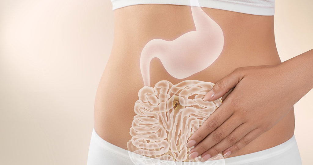 woman's abdomen highlighting gut microbiome 