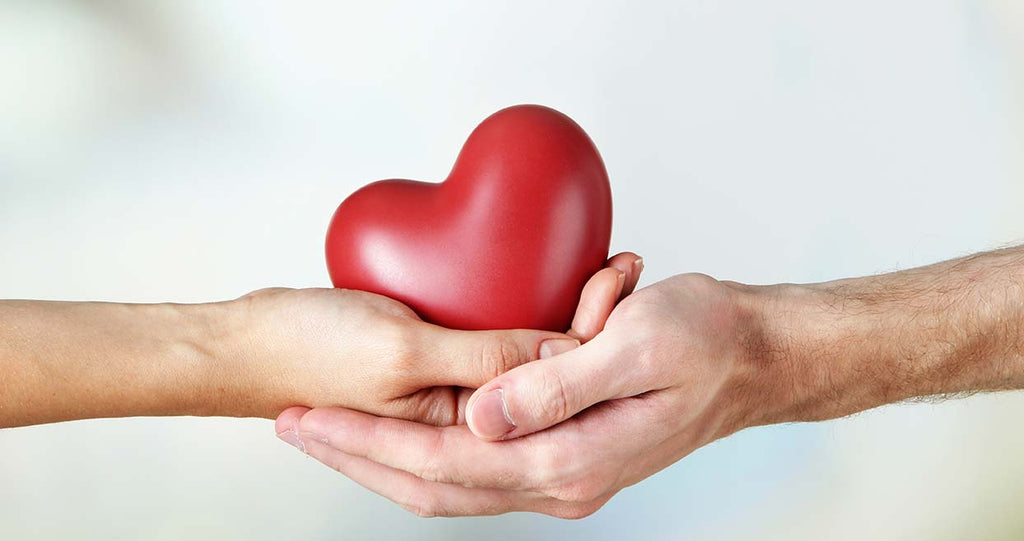 Male and female hand holding heart for heart health