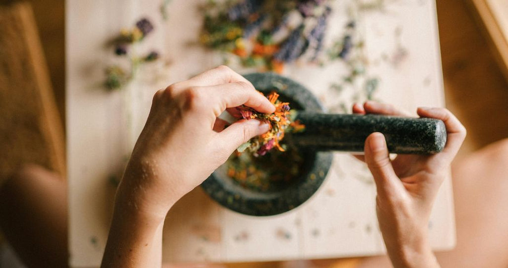 Hands crushing down herbs for tradiitonal use