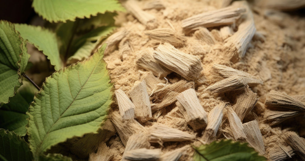 slippery elm leaves and inner bark traditionally used to support digestive comfort and wellness