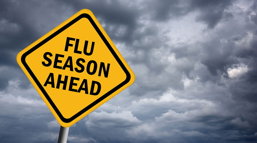 When is Cold & Flu Season?