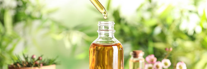 Herbal Extract Supplements