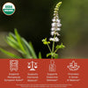 Black Cohosh plant with white flowers and green leaves, labeled USDA Organic, on a dark background. Benefit icons read supports menopause symptom relief, supports hormonal balance, supports endocrine wellness, promotes a sense of balance.