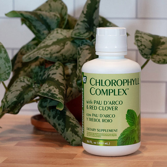 Bottle of chlorophyll on counter with plant behind