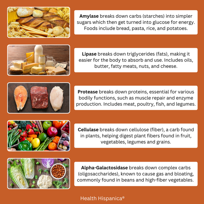 Icons with bread, fats, proteins, vegetables, fruits, and oligosaccharides 