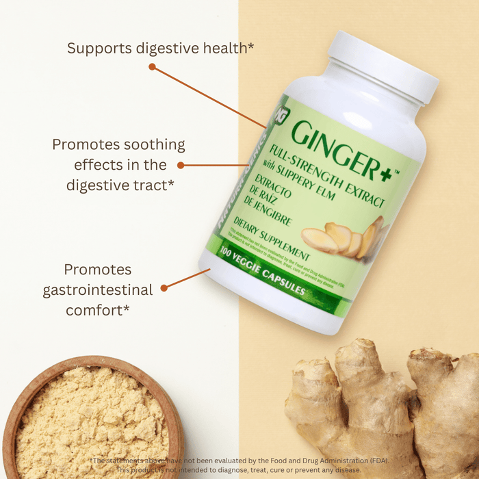 A bottle of GINGER+ Full-Strength Extract dietary supplement capsules shown on a split beige background with callout lines describing digestive benefits, plus ginger root and a bowl of powder at the bottom.