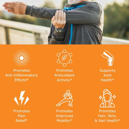 Older man stretching his arms with benefit icons: promotes anti-inflammatory effects, promotes antioxidant activity, supports joint health, promotes pain relief, promotes improved mobility, promotes hair, skin, and nail health