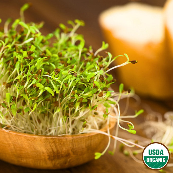 Alfalfa sprouts with USDA Organic seal