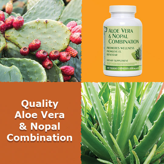 Aloe vera leaves and nopal cactus