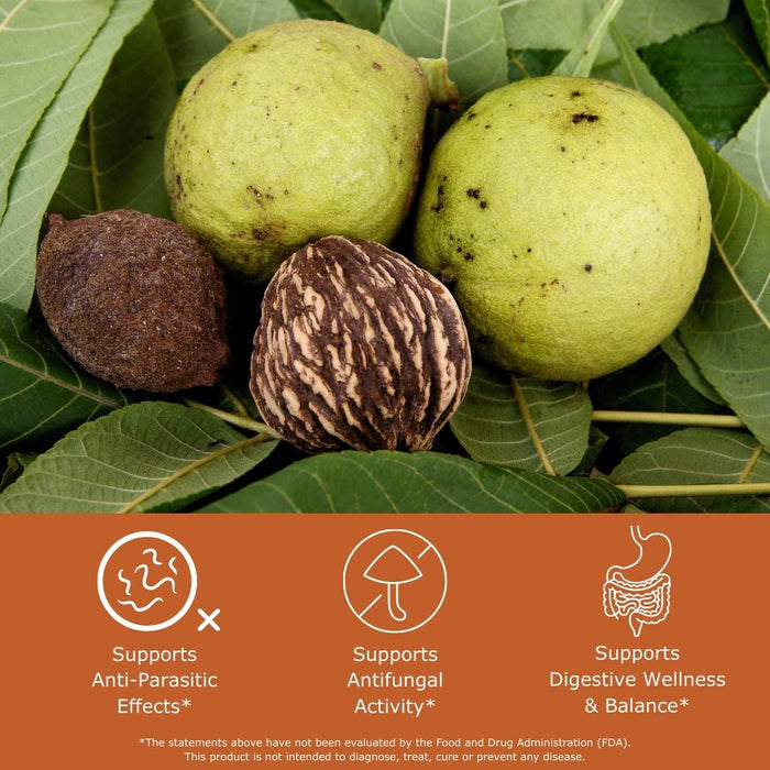 Black walnut hulls surrounded by leaves with benefit icons supports anti-parasitic activity, supports antifungal effects, and supports digestive wellness and balance