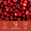 Bright red cranberries with benefit icons, promotes urinary system health, supports reduced urinary tract infections (UTIs), supports kidney health