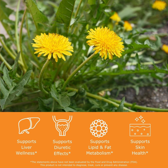 Yellow dandelions with benefit icons supports liver wellness, supports diuretic effects, supports lipid & fat metabolism, and supports skin health.