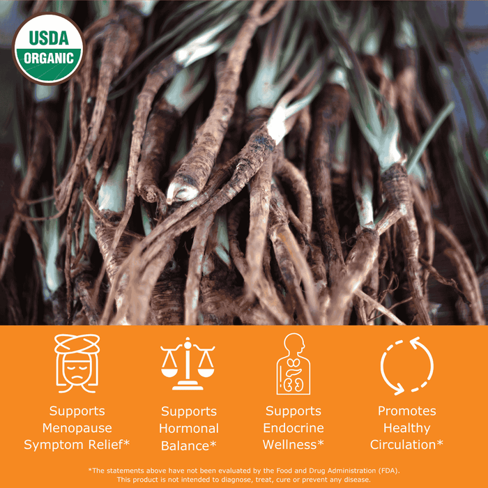 Close-up of dong quai roots with USDA Organic label and health benefits text below: supports menopause symptom relief, supports hormonal balance, supports endocrine wellness, promotes healthy circulation