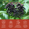 Elderberry with benefit icons, promotes immune response, supports respiratory health, supports reduced cold and flu symptoms. promotes antioxidant effects