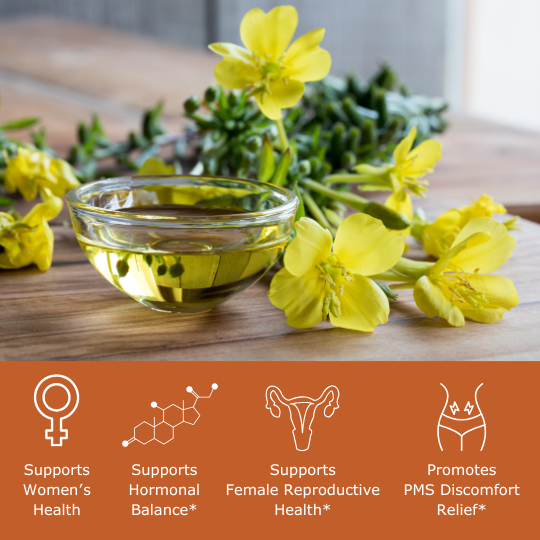 Evening primrose and primrose oils with benefit icons, supports women's health, supports hormonal balance, supports female reproductive health, promotes PMS discomfort relief