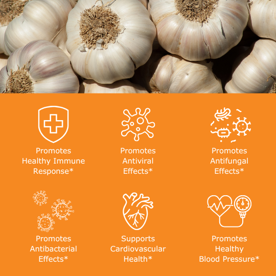 garlic cloves with benefit icons, promotes healthy immune response, promotes antiviral effects, promotes antifungal effects, promotes antibacterial effects, supports cardiovascular health, supports healthy levels of blood pressure