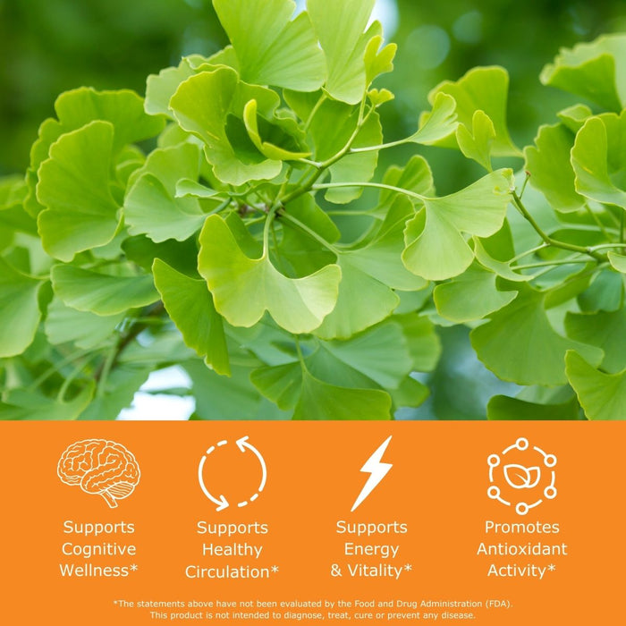 Green ginkgo biloba leaves with USDA Organic logo and health benefits text, supports cognitive wellness, supports healthy circulation, supports energy and vitality, promotes antioxidant activity.