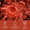 Red blood cells with benefit icons: Promotes healthy energy levels, supports hemoglobin and myoglobin production, promotes overall wellness