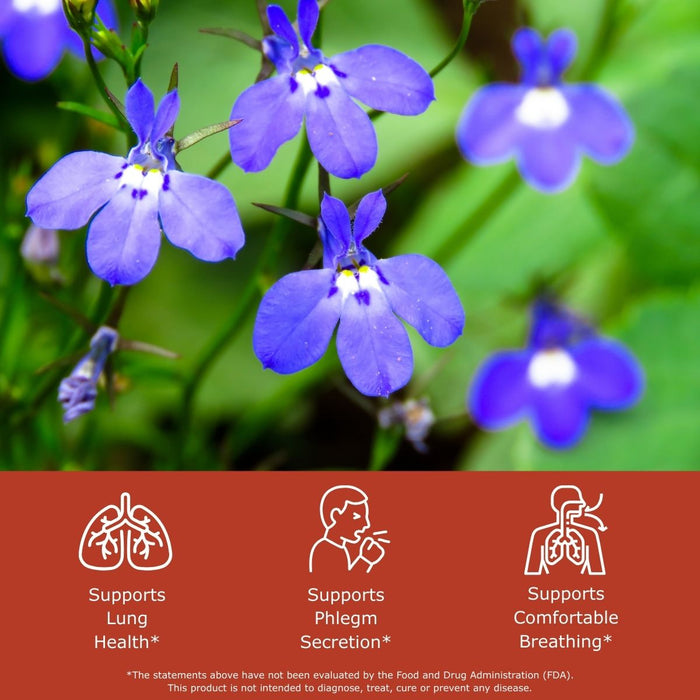 Lobelia flowers with health benefit icons: supports lung health, supports phlegm secretion, supports comfortable breathing