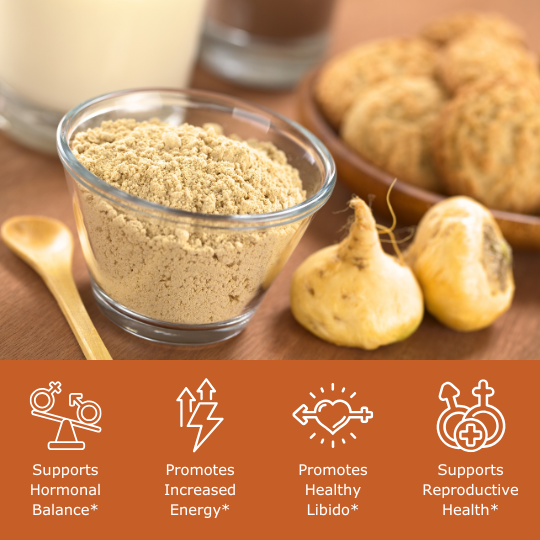 Maca root with maca powder on wooden table with benefit icons, supports hormonal balance, promotes increased energy, promotes healthy libido, supports reproductive health