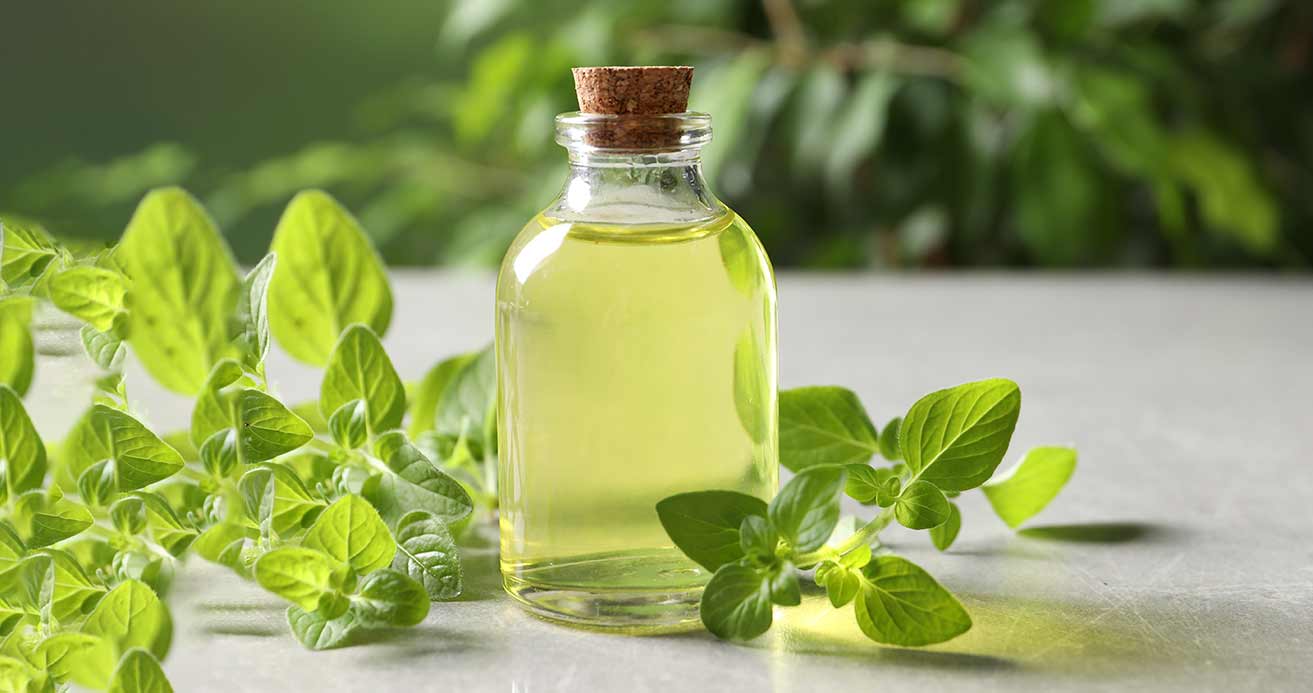 Glass bottle of oregano oil with a cork lid surrounded by green oregano leaves on a light surface.