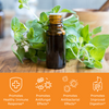 oregano leaves with bottle of oregano oil with benefit icons, promotes immune response, promotes antifungal effects, promotes antibacterial effects, promotes improved digestion