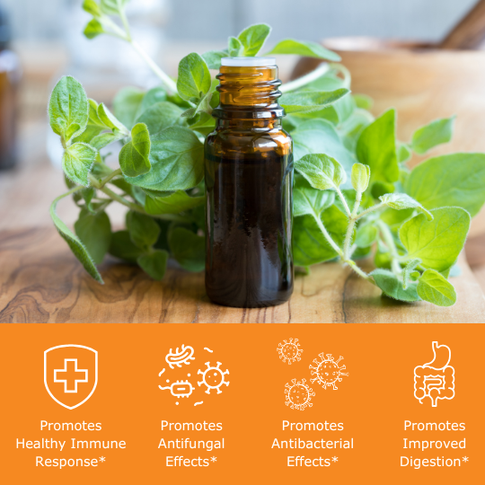 oregano leaves with bottle of oregano oil with benefit icons, promotes immune response, promotes antifungal effects, promotes antibacterial effects, promotes improved digestion