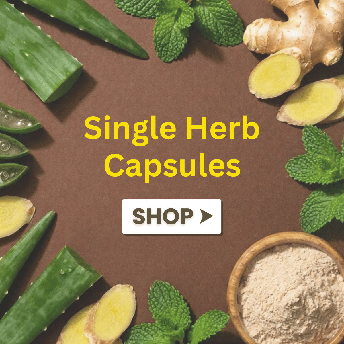 A promotional graphic for 'Single Herb Capsules' featuring a brown background surrounded by natural ingredients including aloe vera, mint leaves, ginger root, and a small bowl of light beige powder. A white button with 'SHOP >' is in the center.